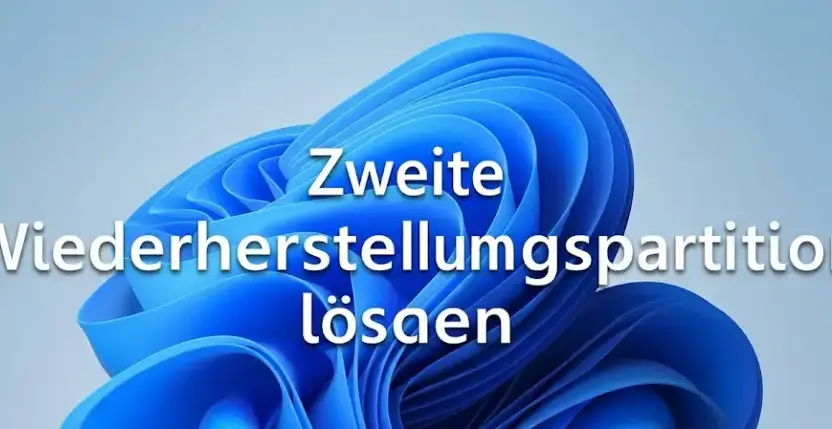 Zweite Wiederherstellungspartition löschen nach update